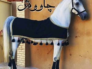 مجموعه پرورش اسب هورس سیرجان