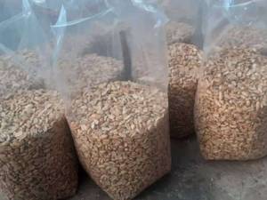 قیمت بادام زمینی در آستانه اشرفیه