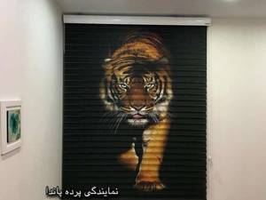 شید زبرا سه بعدی
