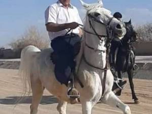 تعلیم سوارکاری از مبتدی تا حرفه ای در اصفهان