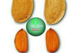 بادام رقم فرانیس