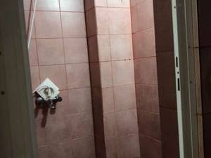 قیمت اجاره ویلای مبله در شیراز