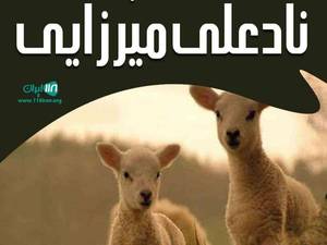 خدمات دامپروری در قزوین