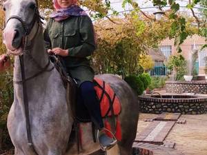 آموزش سوارکاری به صورت اصولی در کرمان