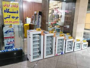 مرگ و میر جوجه در تخم علتش چیه؟