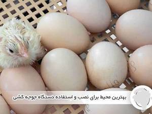 نحوه تنظیم دمای دستگاه جوجه کشی