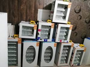 نحوه تنظیم دمای دستگاه جوجه کشی