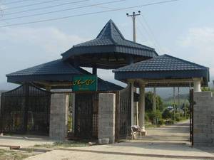 نمایندگی کینگستون در استان گیلان
