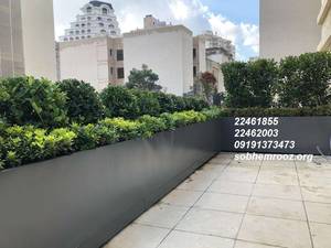 روف گاردن و دیوار سبز در تهران