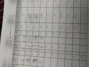 قیمت کرم جوانسازی در کرج