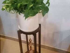 ساخت و فروش انواع شلف ایستاده گلدانی  درنایین