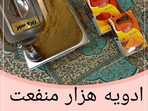ادویه مرغ و ماهی در مرکزی