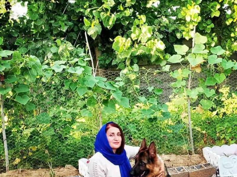 بهترین مربی سگ در گیلان معصومه آهن جان