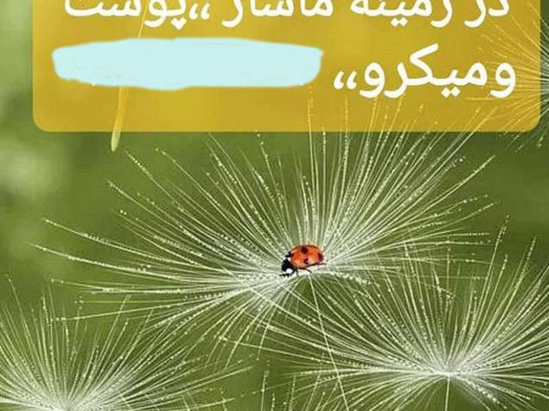 آموزش و ارائه ی خدمات زیبایی در آمل