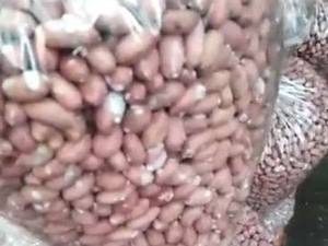 بادام زمینی درجه یک آستانه اشرفیه در تبریز