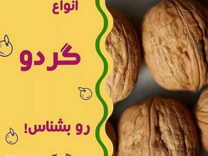 بهترین وتخصصی ترین مرکز و پیش فروش انواع نهال
