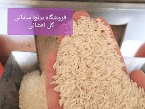 قیمت خرید برنج هاشمی در قائم شهر