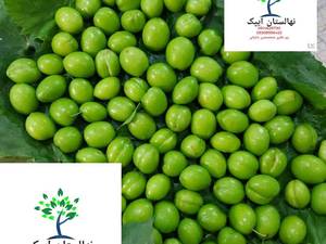 گوجه سبز نخجوان
