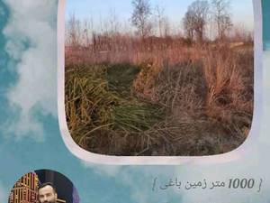 زمین 1000متری  باغی در گیلان