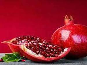 نهال انار در میاندوآب