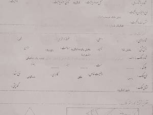 زمین سنددار  ۱۹۸متری در لنگرود واقع در سالی پاکه