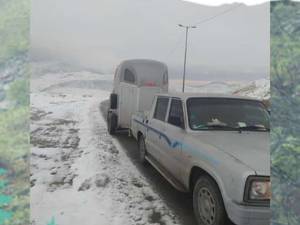 جا به جای اسب به تمام  نقاط  کشور