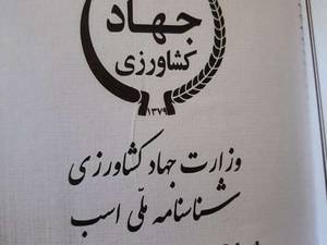 اسب سیلمی  دره شوری در فسا