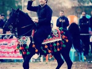 پرورش  و فروش اسب اصیل در کرمانشاه