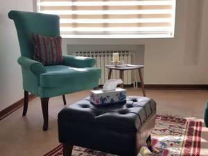 جدیدترین مدل  پرده زبرا در تهران