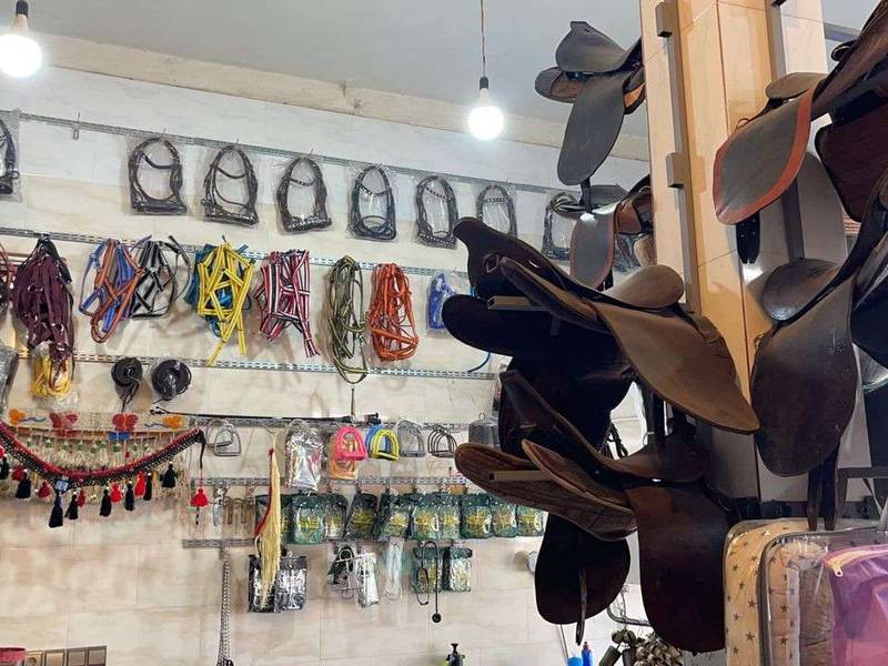 لوازم سوارکاری و خوراکهای آجیلی و مکمل برای اسب ها در کرمان