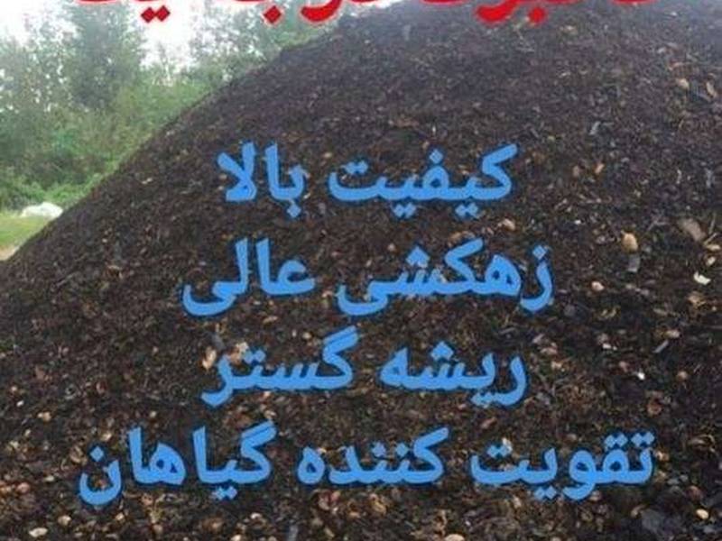 فروش خاک گل در ساری