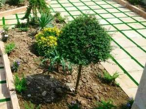 زیباسازی ویلا و منازل مسکونی در رشت