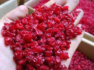 بهترین زرشک خراسان جنوبی