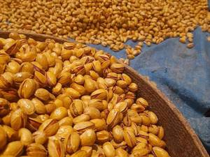 خرید پسته تازه  زعفرانی درجه یک در محلات