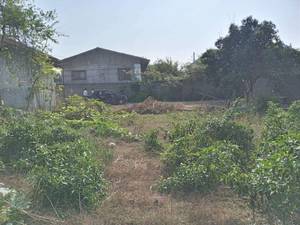 فروش زمین مسکونی روستایی در بابل