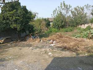 فروش زمین مسکونی روستایی در بابل