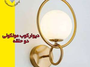 دیوارکوب مولکولی در فارس