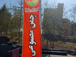 فروش چمن مصنوعی در طرح مختلف درآبعلی دماوند