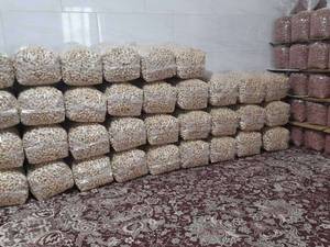 فروش تخصصی بادام زمینی در گیلان