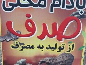 فروش بادام زمینی با پوست در رشت