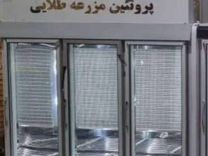 فروش انواع مدل های یخچال قصابی در ابعاد مختلف