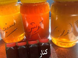 معجزات عسل بر دستگاه گوارش