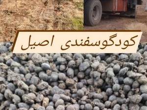 کود گوسفندی به صورت فله