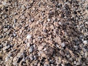 کود گوسفندی خاص در اردبیل