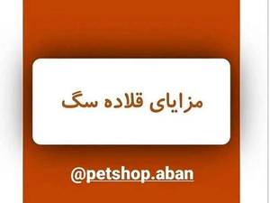 لیش متری فلکسی مخصوص سگ در کرمان