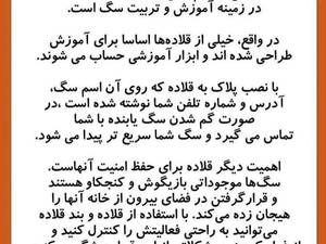 لیش متری فلکسی مخصوص سگ در کرمان
