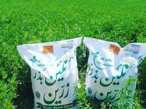 فروش بذر یونجه بوجاری