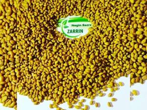 فروش بذر یونجه بوجاری پایه بلند
