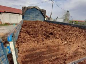 کود گاوی پوسیده سنگین بار در اردبیل