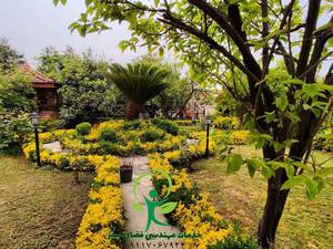 خدمات اجرا محوطه سازی و نگهداری فضای سبز در گیلان